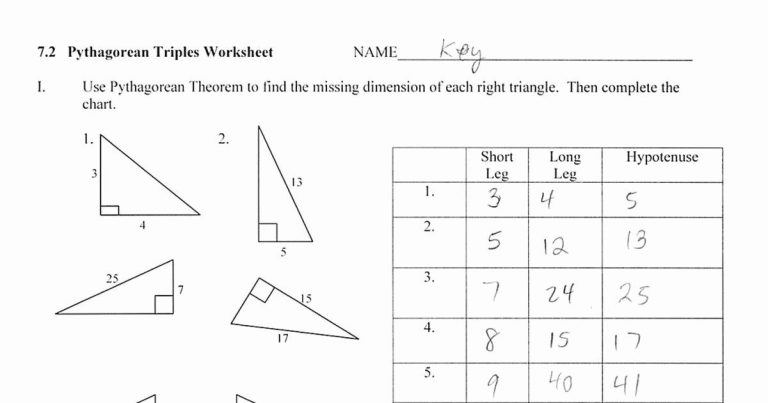 Pythagoras And Trigonometry Worksheet Pdf