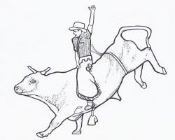 Bull Coloring Pages For Adults