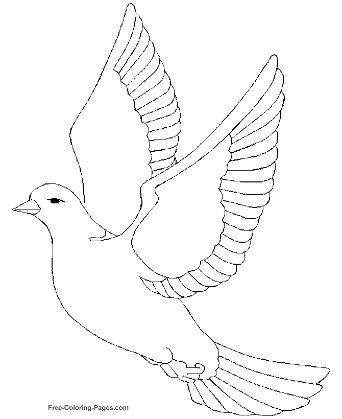 Dove Coloring Page Printable