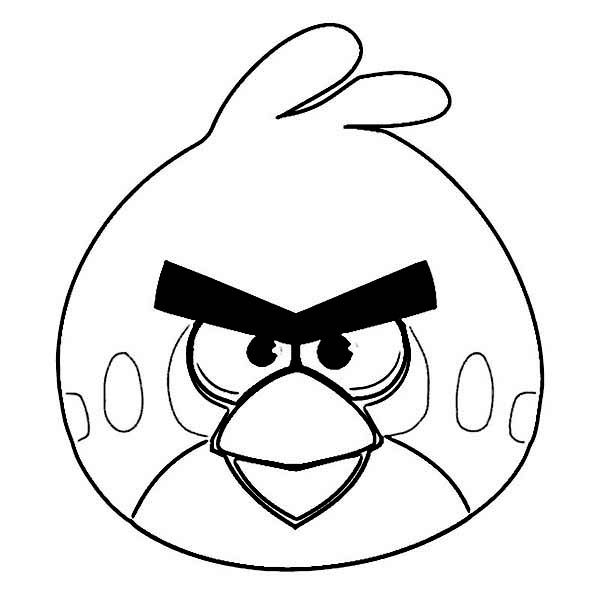 Angry Bird Pictures To Color