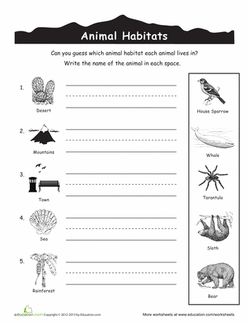 Matching Science Worksheets For Grade 1 Animals