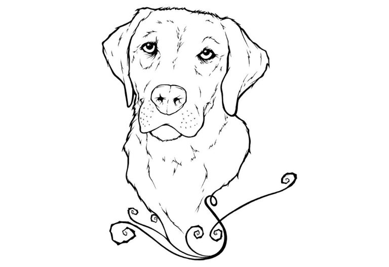 Realistic Golden Retriever Coloring Page