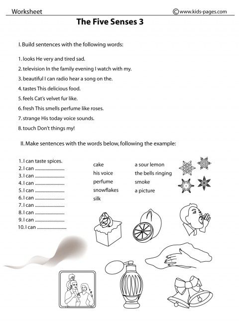 5 Senses Worksheets For Grade 3