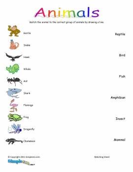 Science Worksheets For Grade 1 Animals Pdf