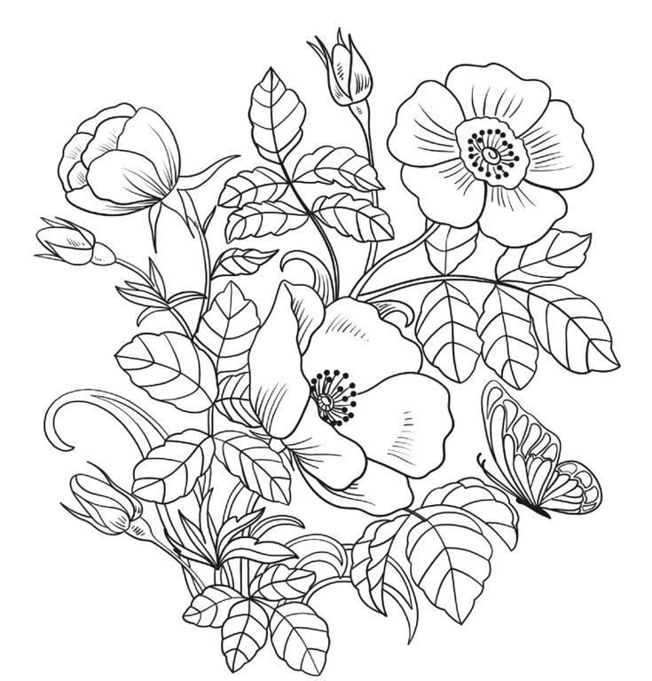 Free Flower Coloring Pages To Print