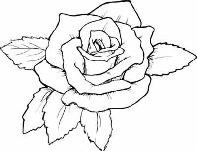 Rose Flower Printable Coloring Pages