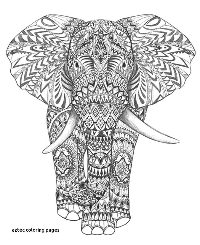 Detailed Elephant Coloring Sheet