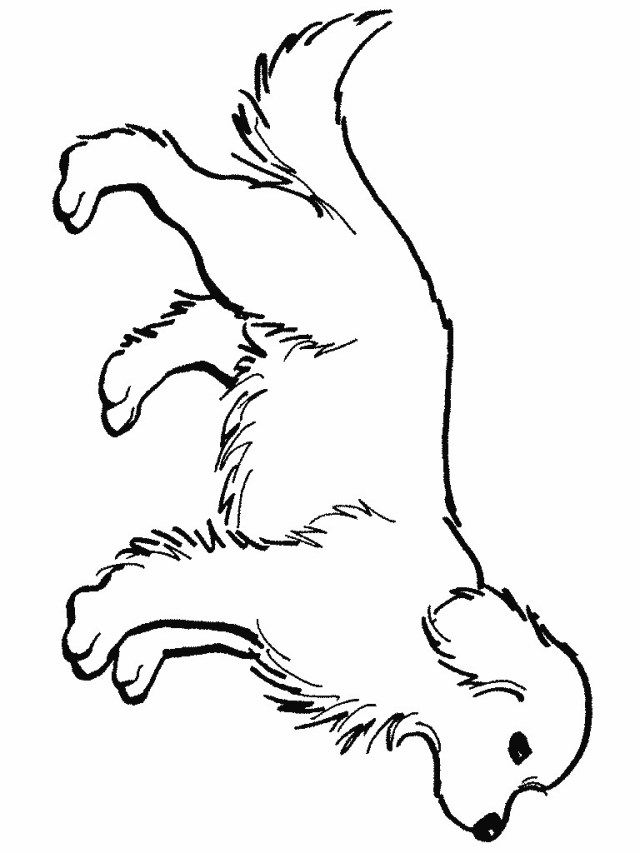 Cute Golden Retriever Coloring Pages