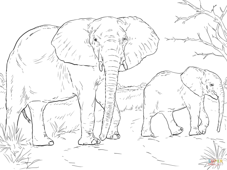 Mom And Baby Elephant Coloring Pages