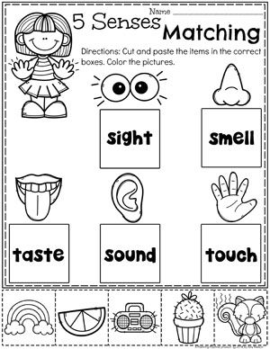 Kindergarten Five Senses Worksheet Preschool