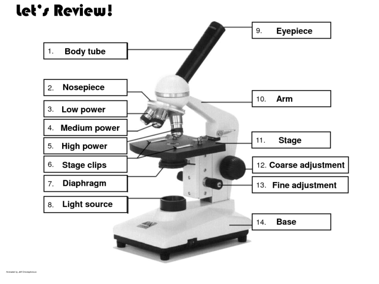 Grade 7 Parts Of Microscope Worksheet