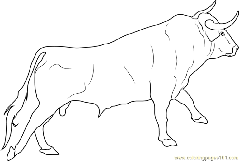 Bull Coloring Pages To Print