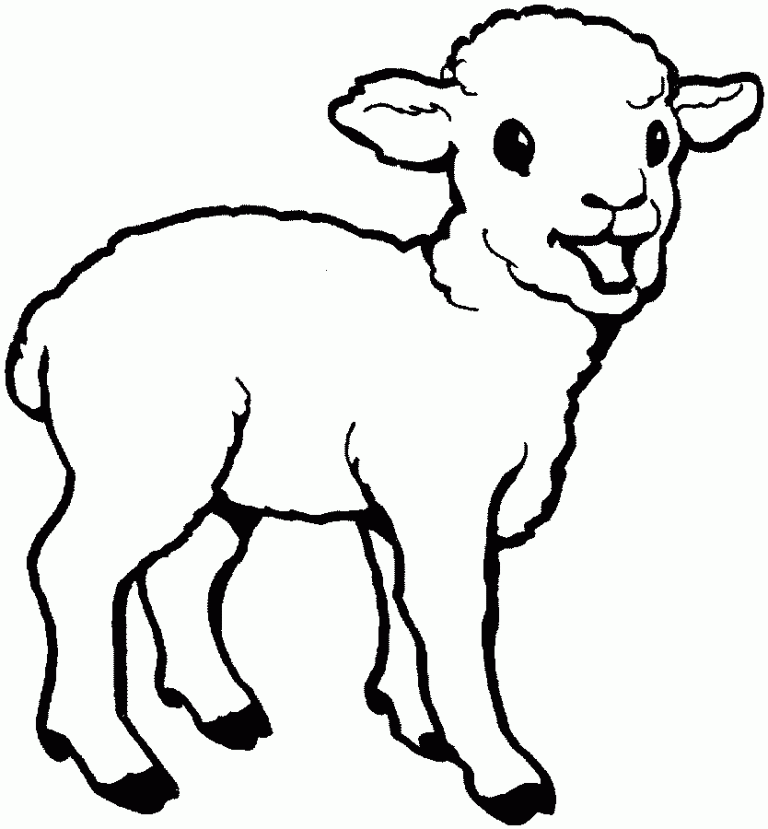 Sheep Coloring Pages To Print