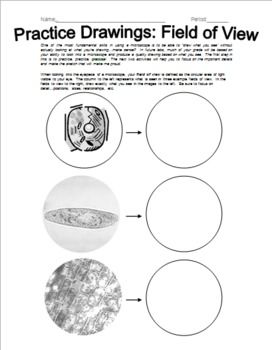 Microscope Drawing Worksheet Pdf