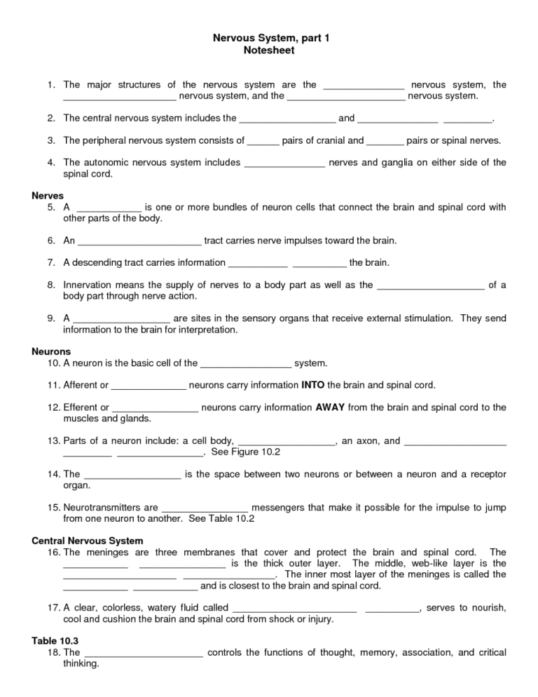 Science Evs Worksheet For Class 3