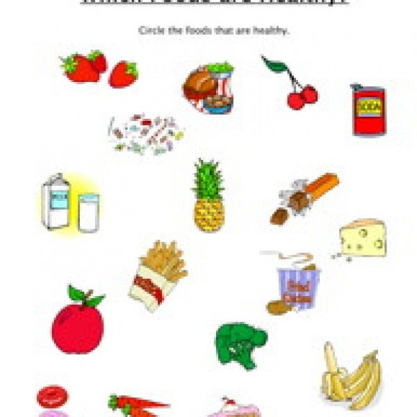 Worksheet For Class 3 Evs Food We Eat