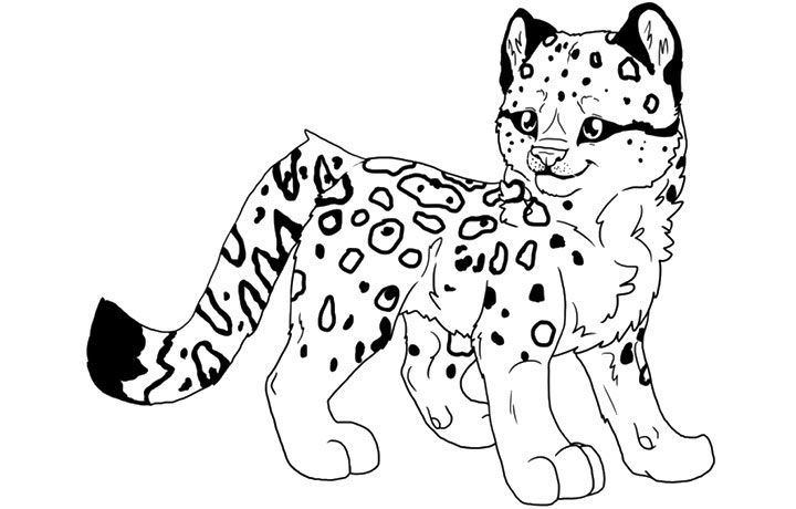 Cute Baby Snow Leopard Coloring Pages