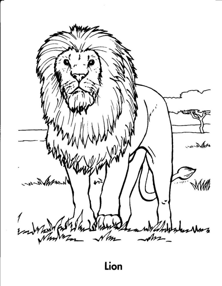 Library Lion Coloring Sheet