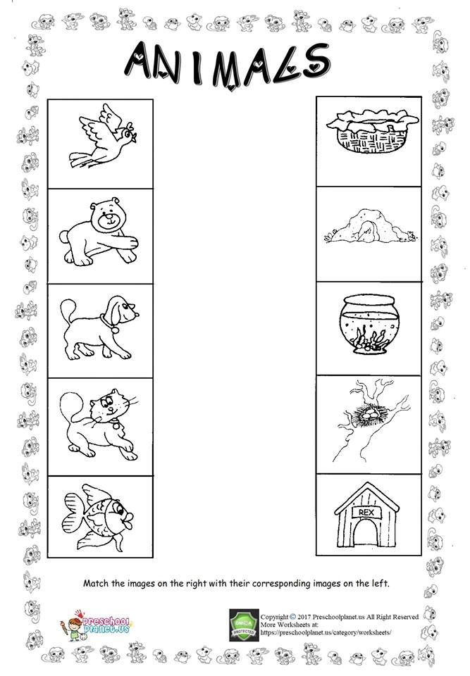 Matching Worksheets For Preschool Kids