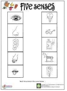 Five Senses Worksheet For Toddlers
