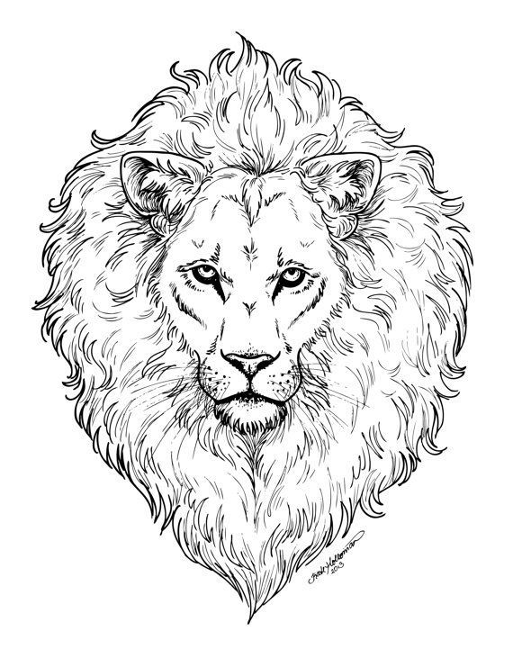 Realistic Lion Coloring Sheet
