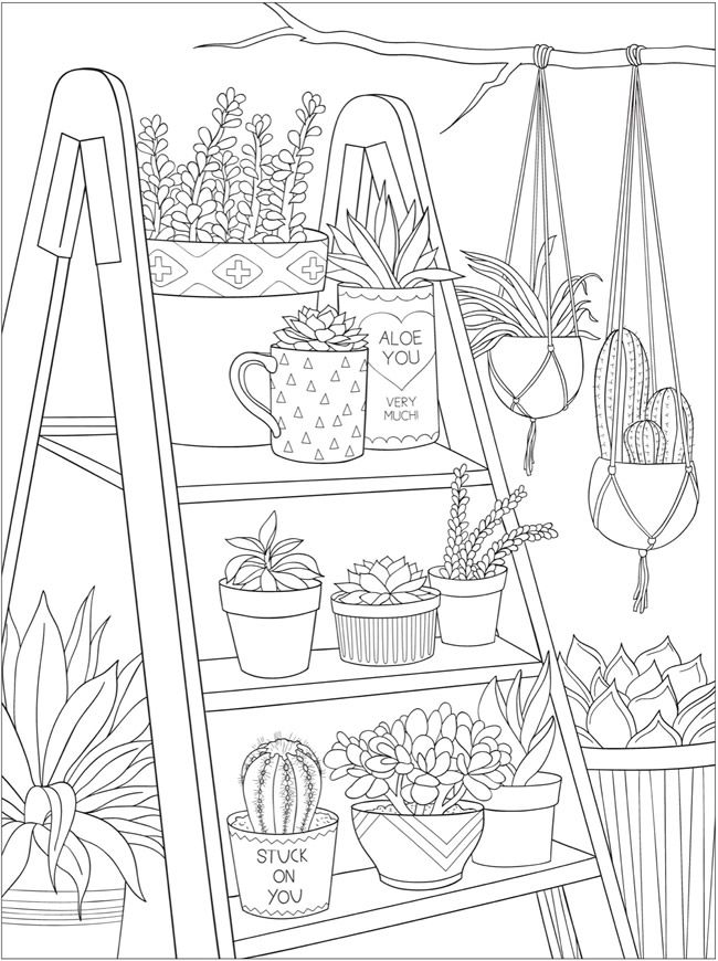 Succulent Coloring Pages Free
