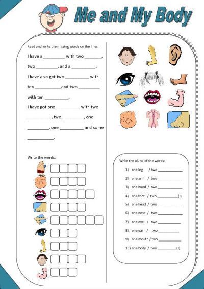 The Human Body Worksheets For Grade 1
