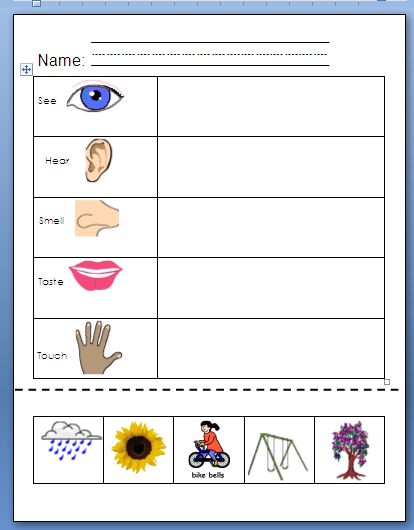 My 5 Senses Worksheets Preschool