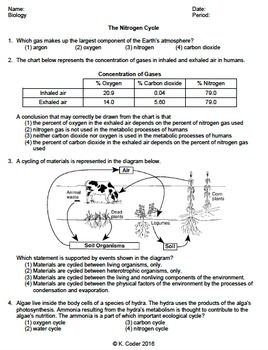 Biology Nitrogen Cycle Worksheet Answers