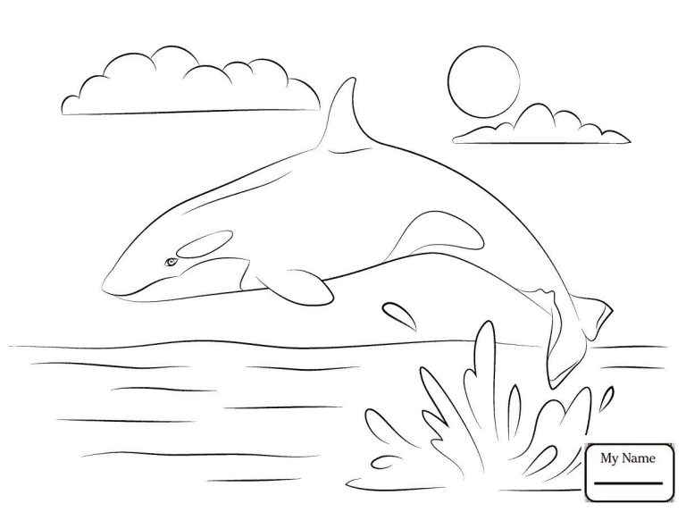 Orca Coloring Pages Free