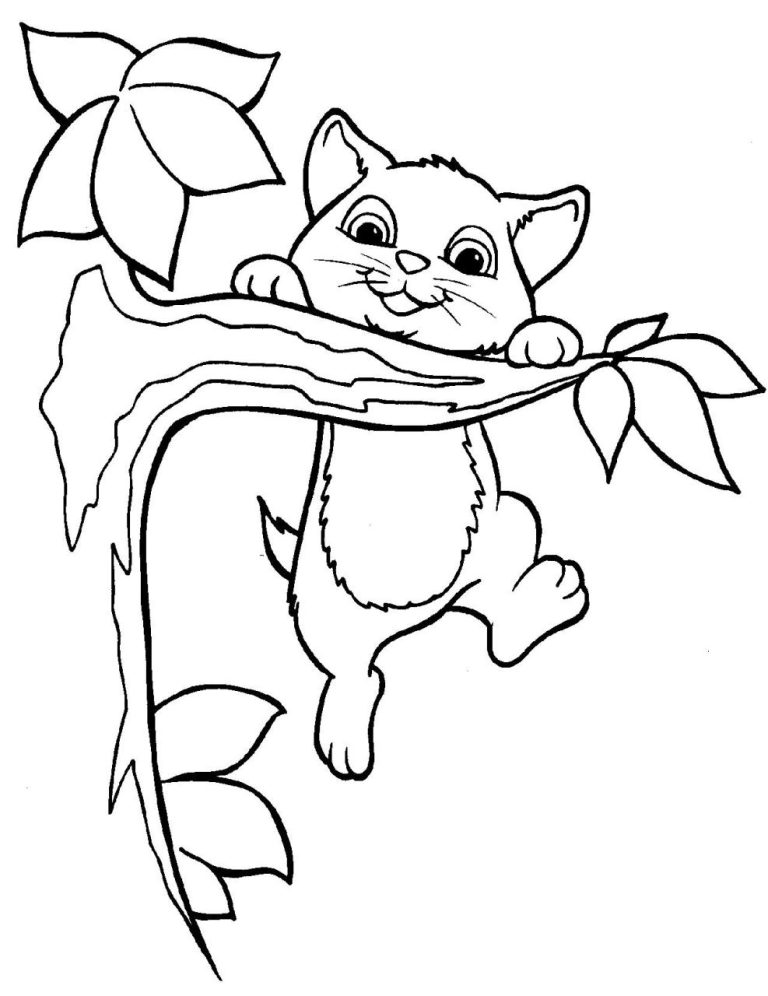 Cute Kitten Pictures To Color
