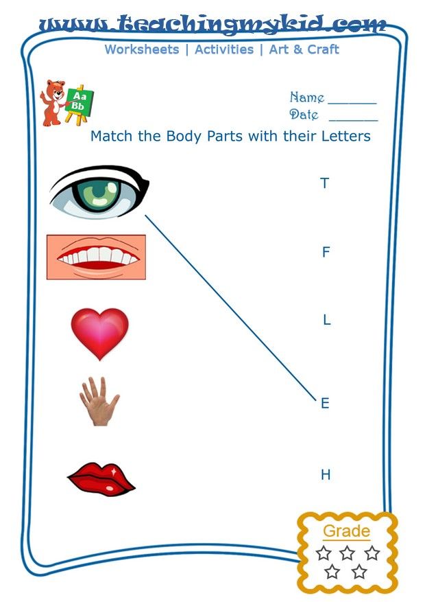 Body Parts Matching Worksheet For Kindergarten