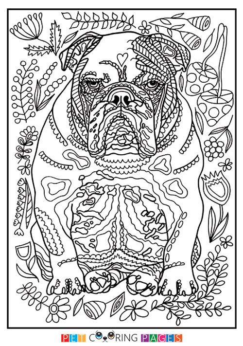 Bulldog Coloring Pages Printable
