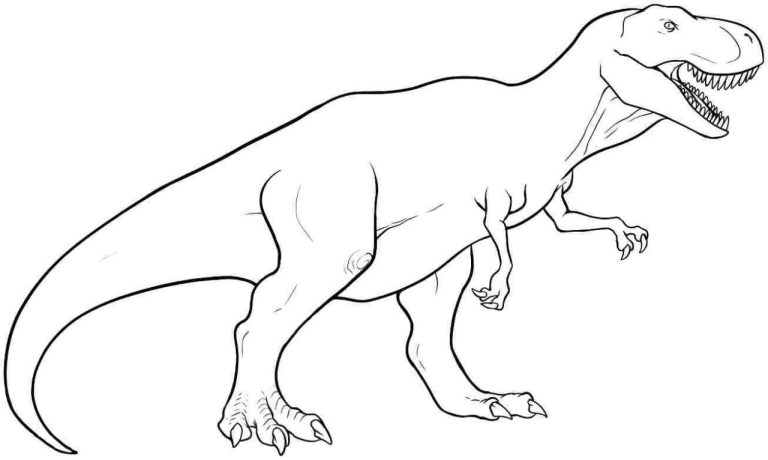T Rex Colouring Pictures