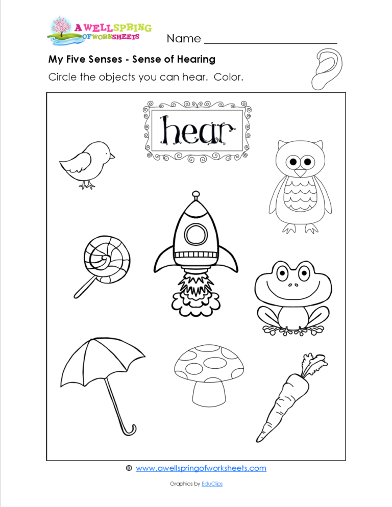 5 Senses Preschool Five Senses Worksheets