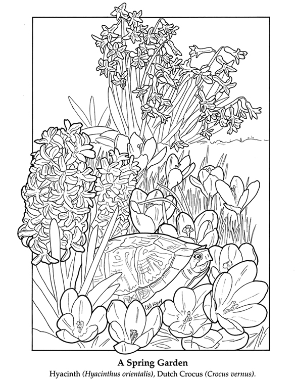Spring Garden Flower Garden Coloring Pages