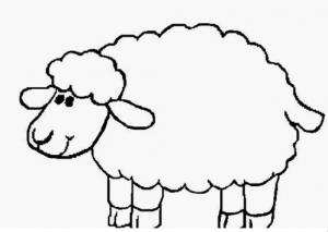 Sheep Coloring Pictures