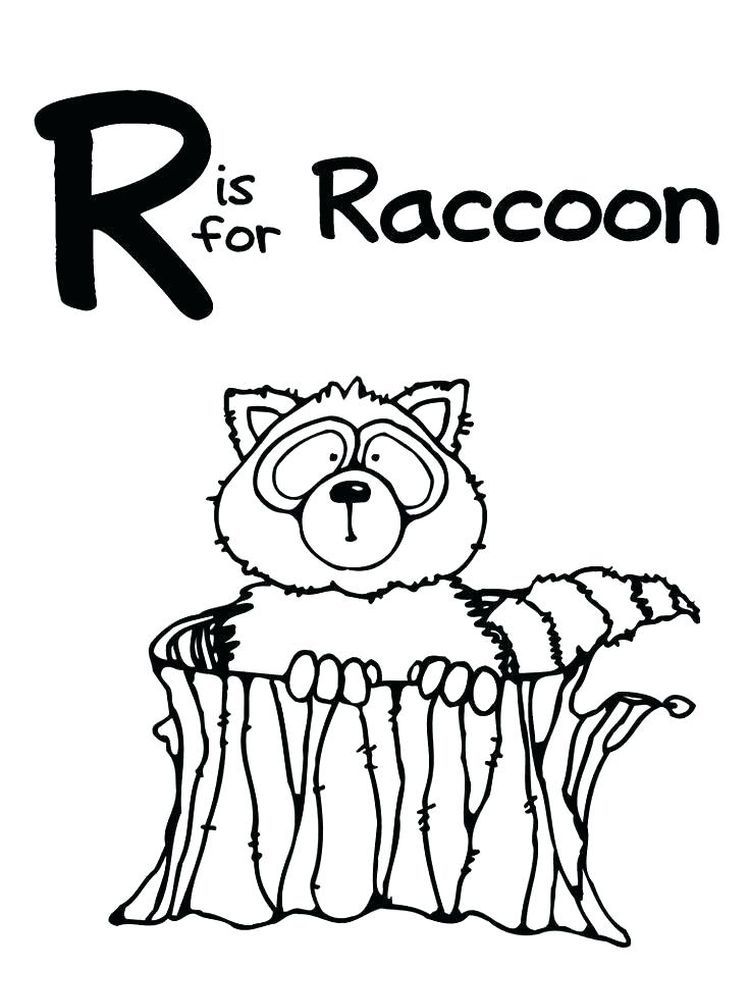 Baby Racoon Coloring Page