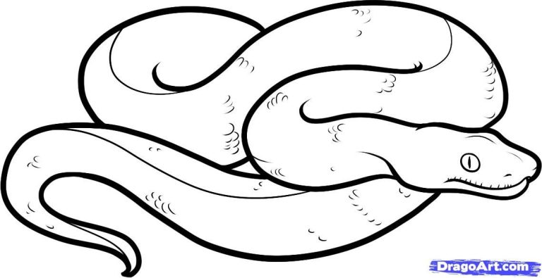 Snake Colouring Images