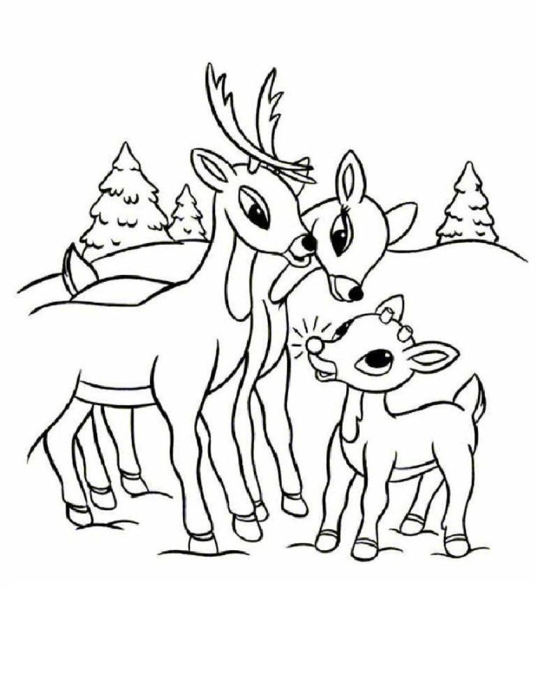 Reindeer Coloring Book