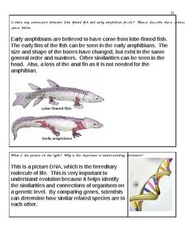 Evolution By Natural Selection Worksheet Answers Biology