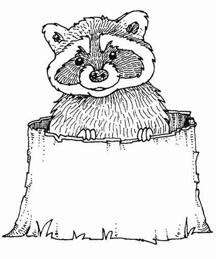 Cartoon Racoon Coloring Page
