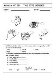 Five Senses Worksheets For Grade 3