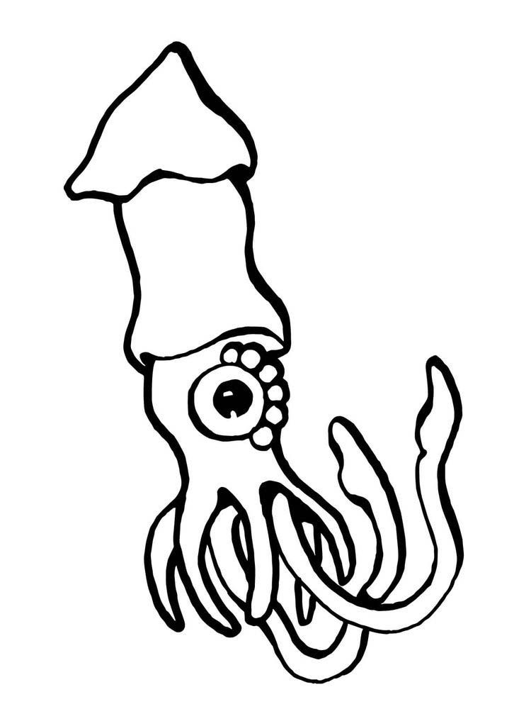 Colossal Squid Coloring Page