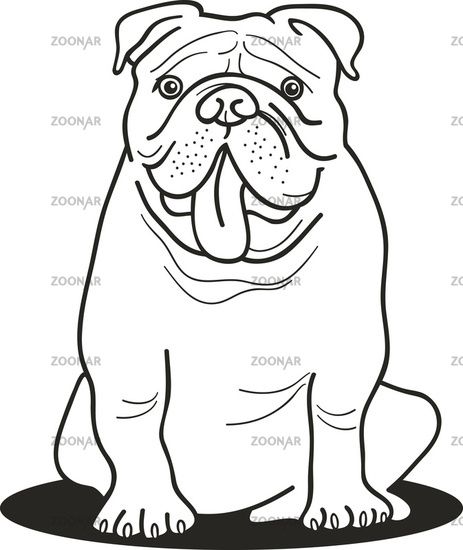 Bulldog Coloring Pages For Kids