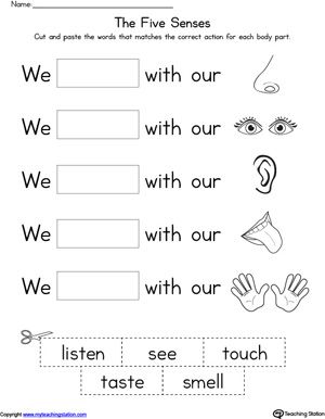 Free Printable 5 Senses Worksheet For Kindergarten