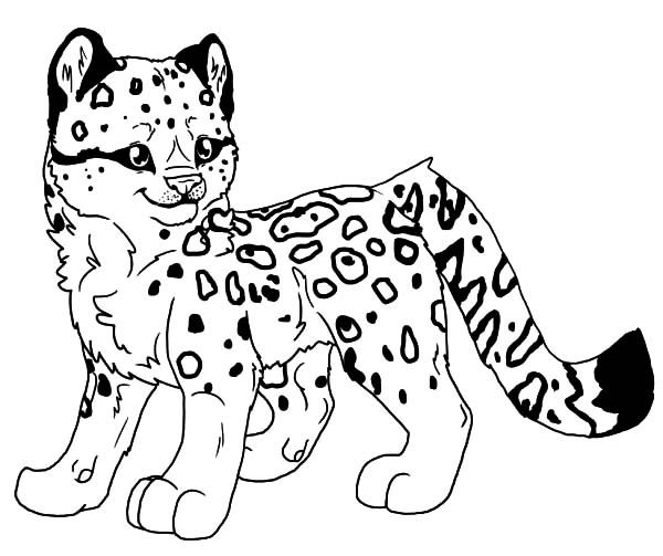 Baby Snow Leopard Coloring Pages
