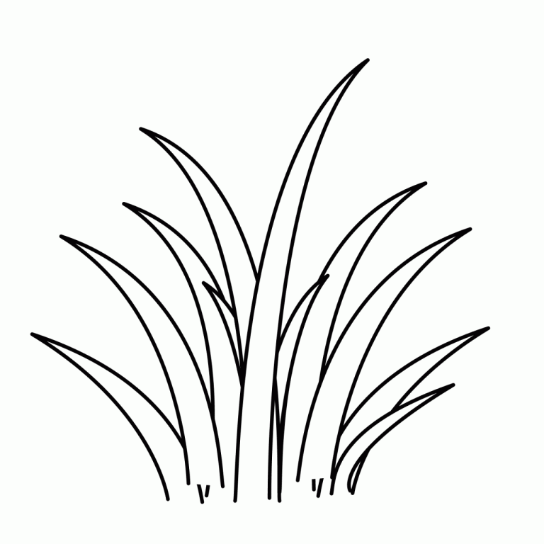 Clipart Grass Coloring Page