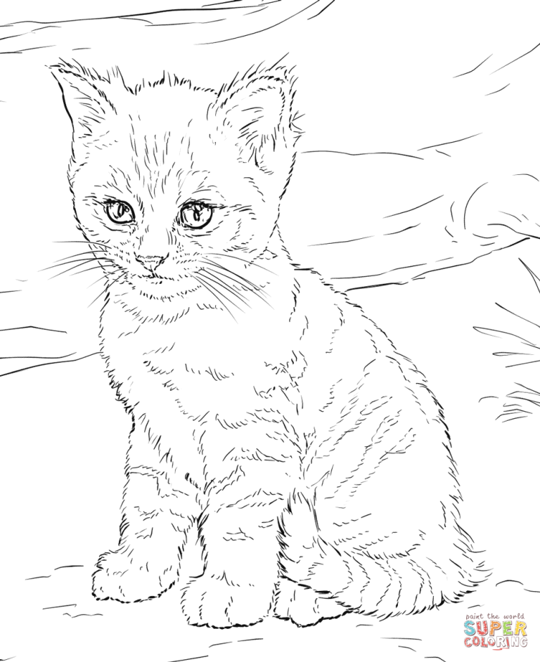 Kitten Cat Pictures To Color