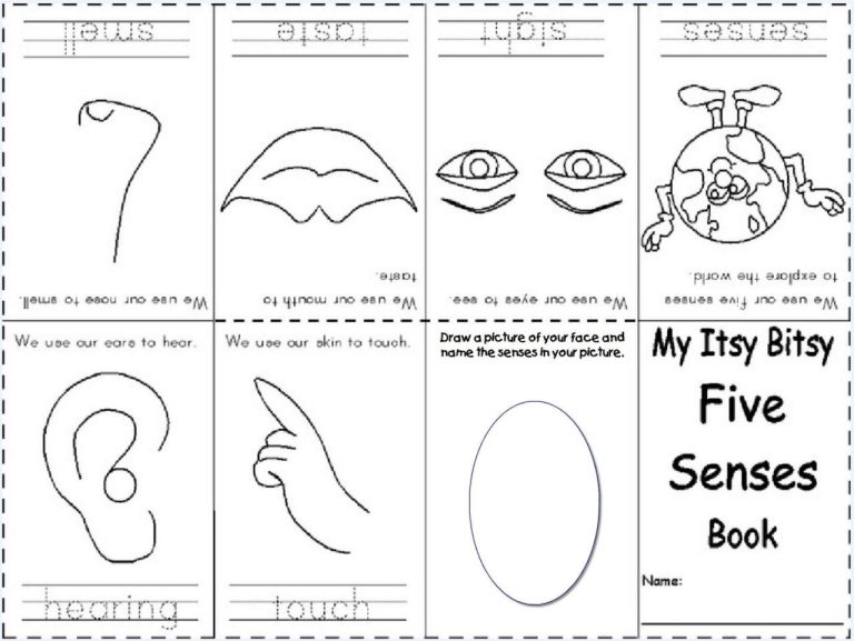 5 Senses Worksheet For Grade 1